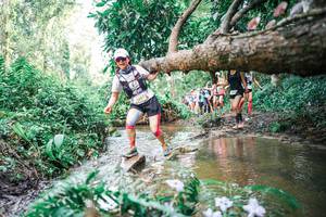 BIB: 
                            <button type="button" onclick="openModal(25516128)" class="btn btn-primary btn-sm float-right btn-popup" data-toggle="modal" data-target=".modal-high-quality">
                        <i class="fas fa-shopping-cart"></i> Add to Cart
                    </button>
                                            <button type="button" onclick="isThisMe(25516128, true)" class="btn btn-success btn-sm float-right btn-popup btn-isme hidden" data-toggle="tooltip" data-placement="bottom" title="นี่คือรูปของคุณใช่ไหม คลิกที่นี่เพื่อเอาเข้าอัลบั้ม">
                        <i class="fas fa-plus"></i> Add to album
                    </button>
                    <button type="button" onclick="isThisMe(25516128, false)" class="btn btn-warning btn-sm float-right btn-popup btn-isnotme hidden">
                        <i class="fas fa-ban"></i> Remove from album
                    </button>